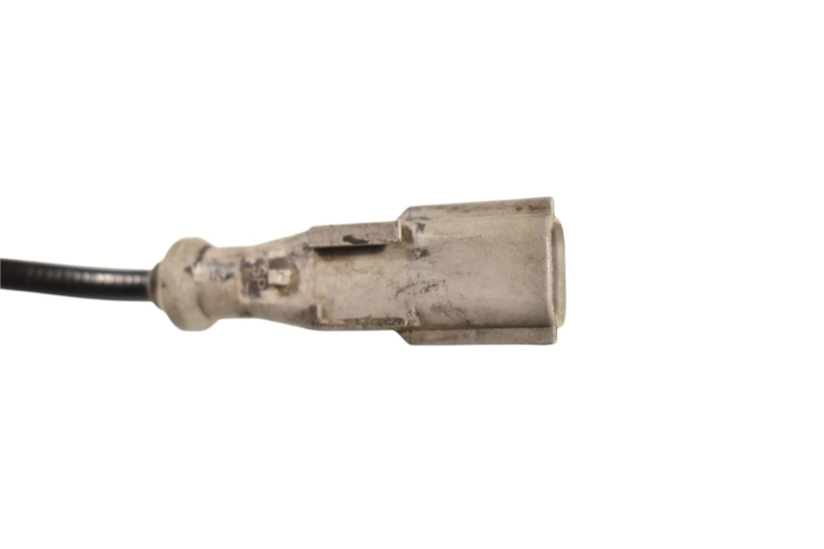 DSC_0003 (11).png