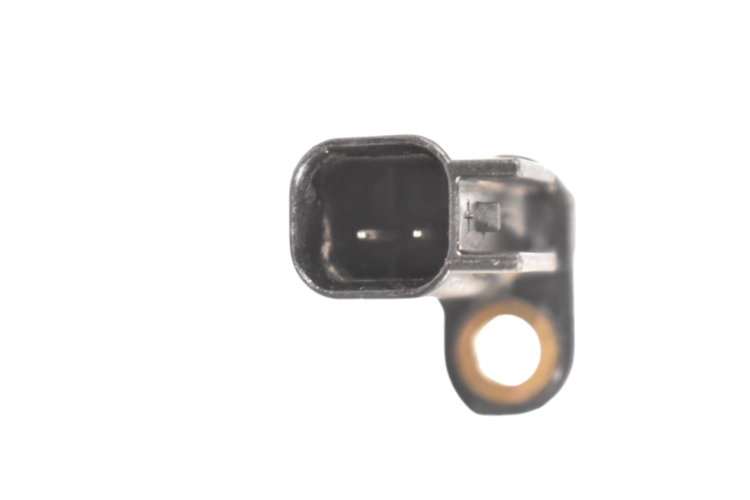 DSC_0002 (12).png