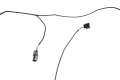DSC_0008 (3).png