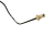 DSC_0018 (2).png