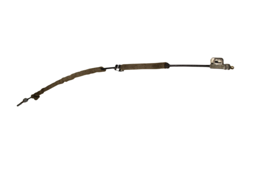 DSC_0010 (7).png