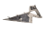 DSC_0005 (16).png