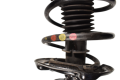 DSC_0005 (18).png