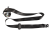 DSC_0003 (34).png