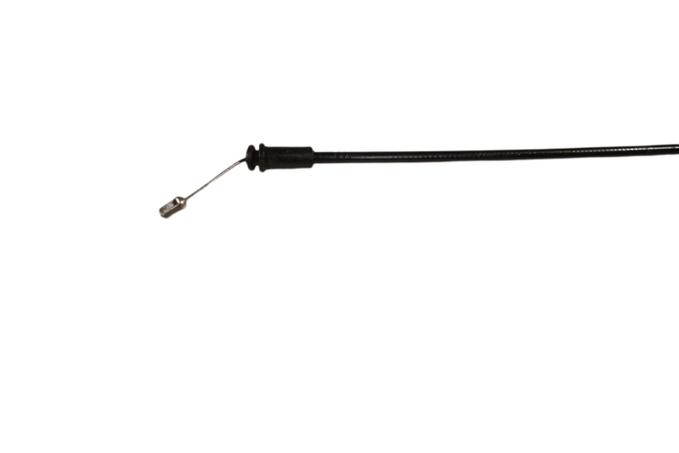 DSC_0007 (17).png