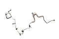DSC_0002 (36).png
