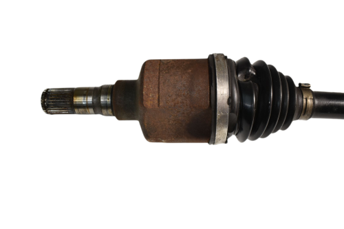 DSC_0007 (24).png