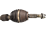 DSC_0019 (3).png