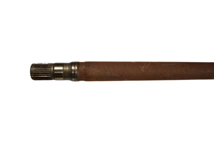 DSC_0017 (6).png