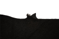 DSC_0004 (49).png