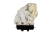 DSC_0005 (38).png