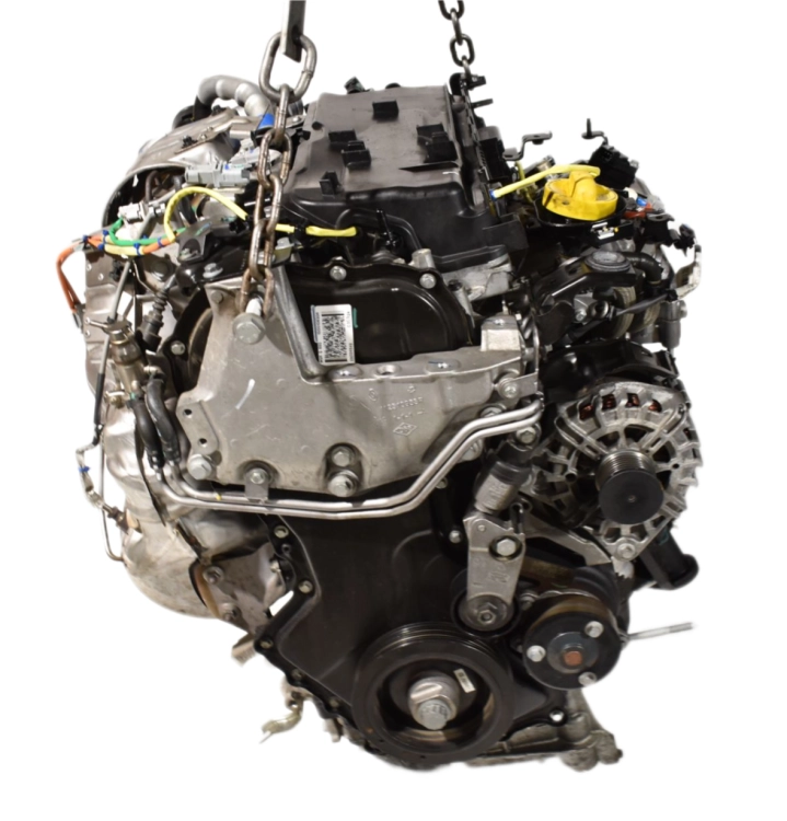 DSC_0007.png