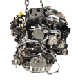 DSC_0008.png