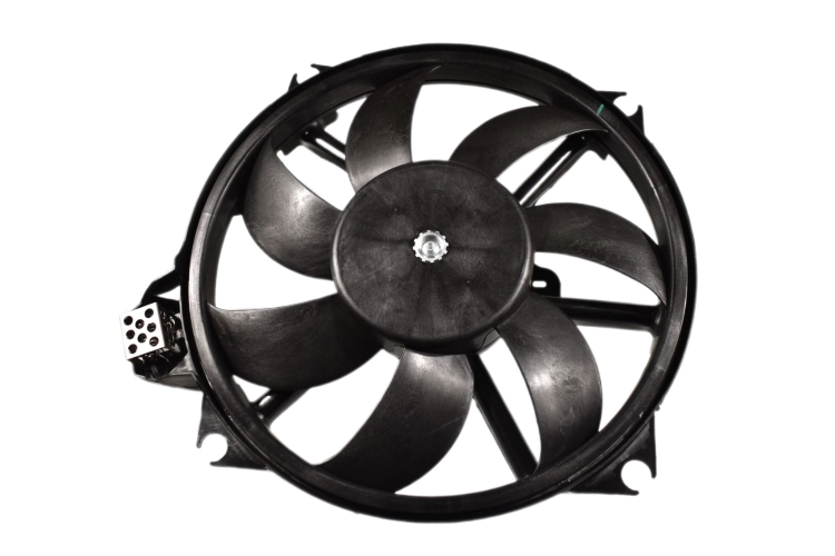 DSC_0001 (69).png