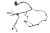 DSC_0009 (40).png