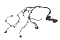 DSC_0003 (97).png