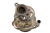 DSC_0008 (55).png