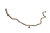 DSC_0011 (56).png