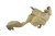 DSC_0010.png