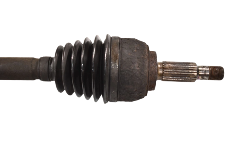DSC_0013 (37).png