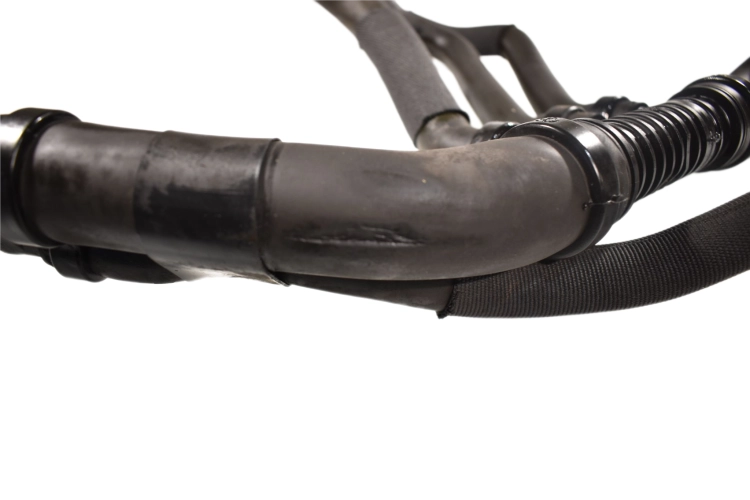 DSC_0016 (14).png