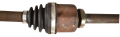DSC_0011.png