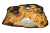 DSC_0014 (46).png