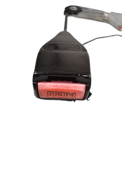 DSC_0012 (75).png