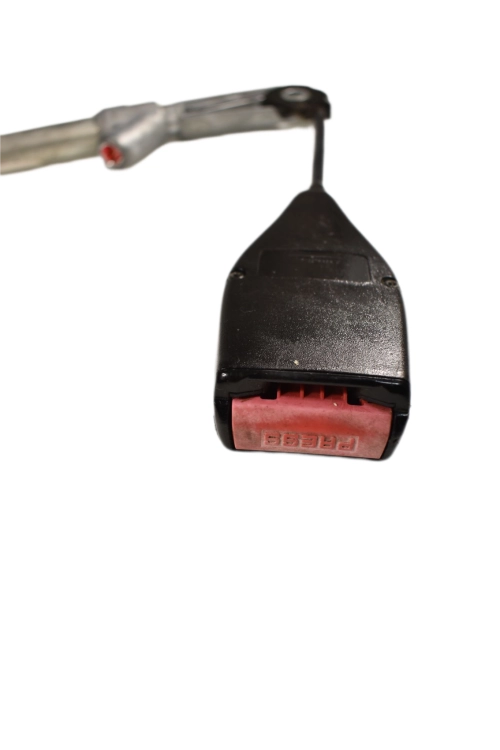 DSC_0011 (88).png