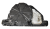 DSC_0003.png