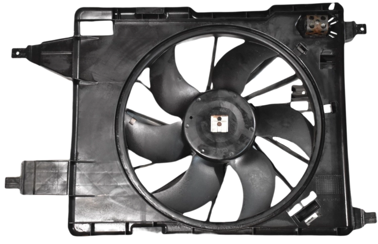 DSC_0001 (1).png