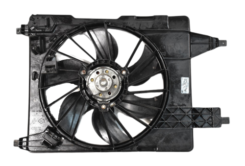 DSC_0004 (1).png