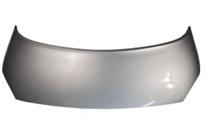 MASKA RENAULT SCENIC II LIFT TED69  651001097R