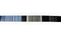 DSC_0006 (85).png