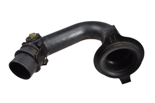 DSC_0001 (6).png