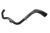 DSC_0005 (10).png
