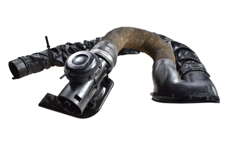 DSC_0003 (1).png