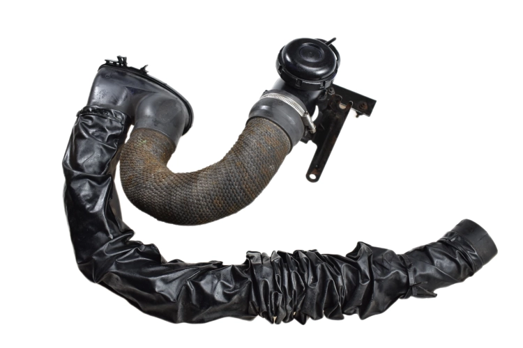 DSC_0001 (1).png