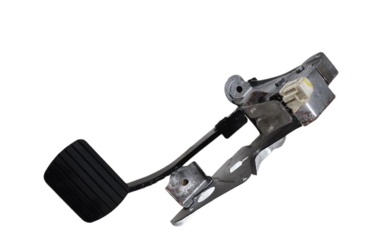 DSC_0004 (1).png