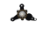 DSC_0002 (1).png