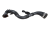 DSC_0001 (2).png