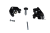 DSC_0003.png