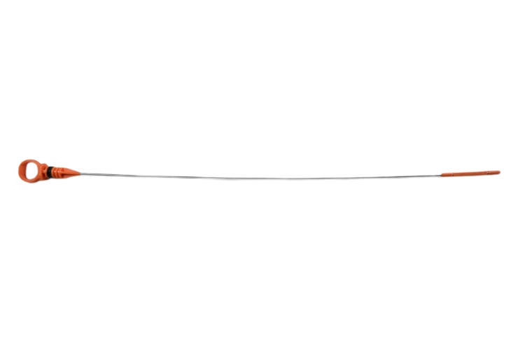 DSC_0005 (1).png