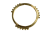 DSC_0005 (3).png