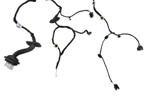 DSC_0005 (3).png