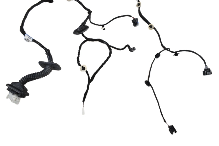 DSC_0005 (3).png