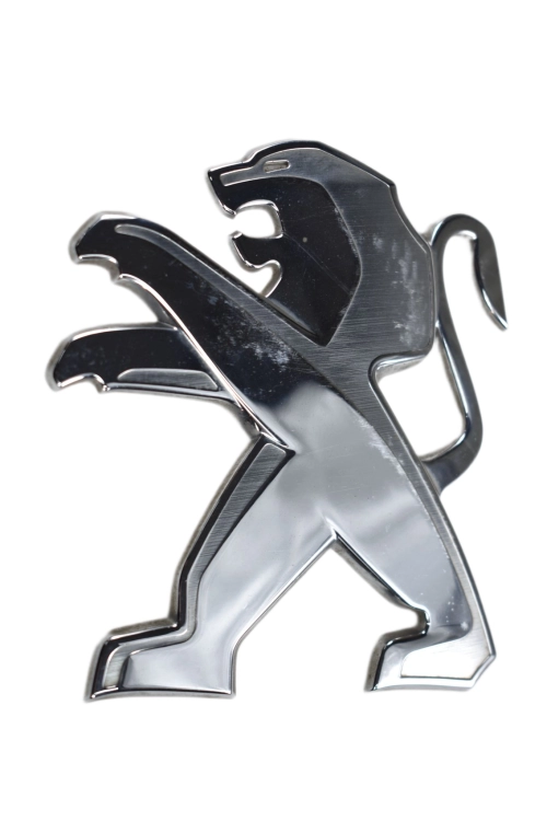 DSC_0002 (1).png
