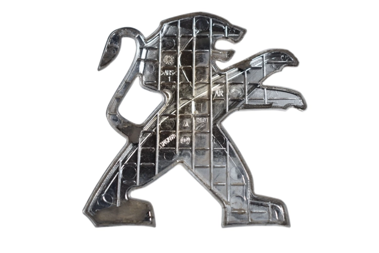 DSC_0003 (1).png