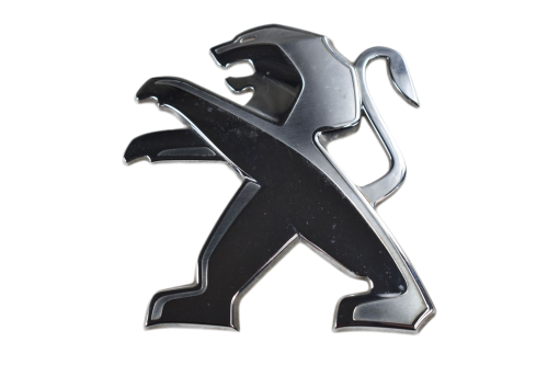 DSC_0001 (1).png