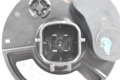 DSC_0005.png